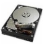 Ricoh 250GB Hard Disk Drive Option (Type C830) for SPC830