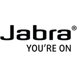 JABRA 3.5mm (Female ) to RJ9 (Male) for EVOLVE 30/40/80 - 2M