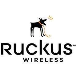 Ruckus C110 with  No Power Supply Included