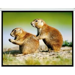 Brateck BT-PSBC100 Manual Projector Screen 2.0x1.5m (4:3 ratio) Self locking