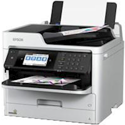 C11CG02501