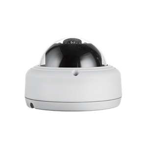 D-LINK DCS-4602EV Vigilance Full HD Day & Night Outdoor Dome Vandal-Proof PoE Network Camera