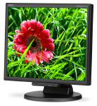 NEC Desktop Monitor, 17