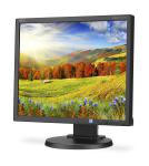 NEC EA193Mi-BK LED / 19"/ 5:4/ 1280 x 1024/ 1000:1/ 6ms/ AH-IPS Panel/ VGA,DVI, DP/ Speakers