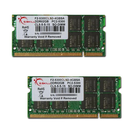 G.Skill 4GB (2GB X 2) 200-Pin SO-DIMM DDR2 667 (PC2 5300) Dual Channel Kit