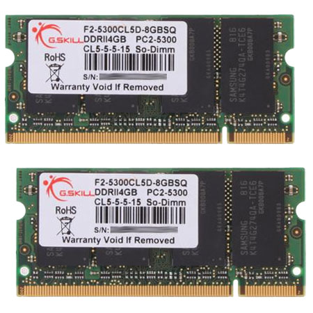 G.skill 8GB(4GB x 2)DDR2-667 PC2 5300  CL 5-5-5-15 1.8 Volts