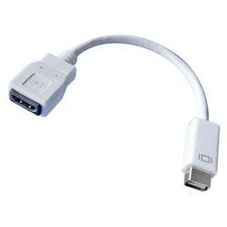 20cm Mini DVI Male to HDMI Female Adapter