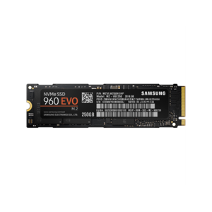 250GB Samsung 960 EVO M.2 (2280) R/W(Max) 3200MB/s/1500MB/s 330K/300K IOPS 5YR