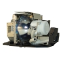 InFocus SPLAMP059 Projection Lamp