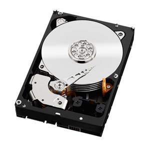 1TB Western Digital - Caviar Black SATA 6G 7200RPM 64MB 5YR